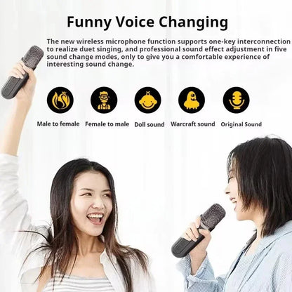 Karaoke Machine With 2 Wireless Dual Microphones